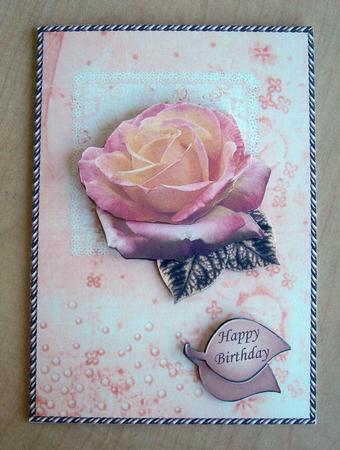 Peach Rose on Square Lace Featured Gallery Photo
