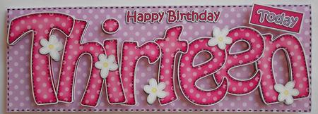 13th Birthday Large Dl Quick Card N 3D Decoupage by Eunice Roberts
