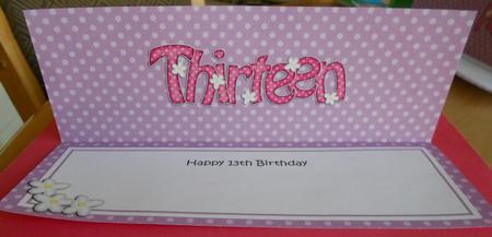 13th Birthday Large Dl Matching Large Dl Insert by Eunice Roberts