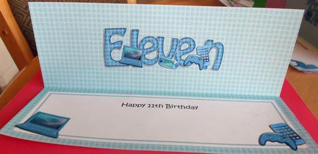 11th Birthday Large Dl Matching Large Dl Insert by Eunice Roberts