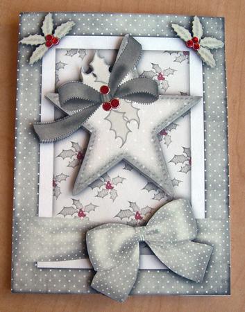 A Christmas Star A4 Card Front by Eunice Roberts