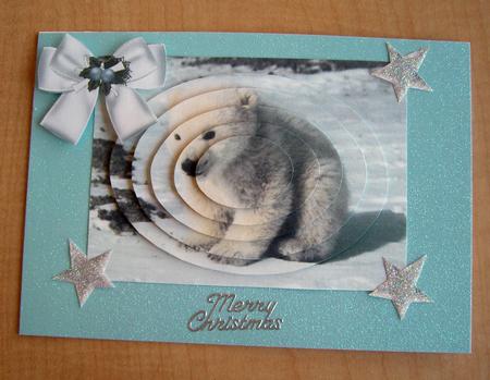 Fluffy White Baby Bear Oval Pyramids by Eunice Roberts