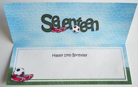 17th Birthday Large Dl Matching Large Dl Insert by Eunice Roberts