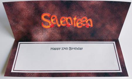 17th Birthday Large Dl Matching Large Dl Insert by Eunice Roberts