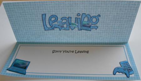 Sorry You're Leaving Large Dl Matching Insert by Eunice Roberts