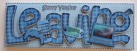 Sorry You're Leaving Large Dl with 3D Decoupage by Eunice Roberts