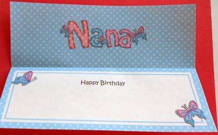 Birthday Nana Matching Large Dl Insert by Eunice Roberts