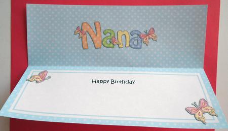 Birthday Nana Matching Large Dl Insert by Eunice Roberts