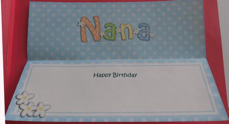 Birthday Nana Matching Large Dl Insert by Eunice Roberts