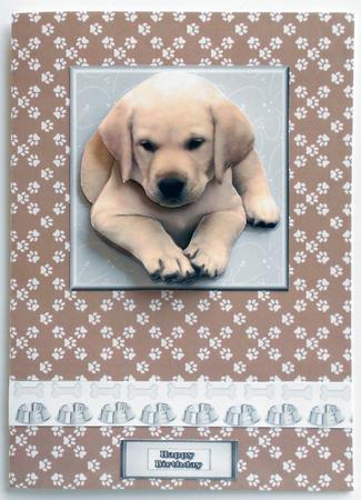 Golden Labrador Puppy 3D Decoupage by Eunice Roberts