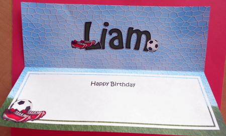 Birthday Liam Matching Large Dl Insert by Eunice Roberts