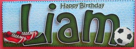 Large Dl Birthday Liam Quick Card 3D Decoupage by Eunice Roberts