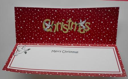 Xmas Merry Christmas Matching Large Dl Insert by Eunice Roberts
