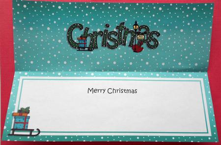 Xmas Merry Christmas Matching Large Dl Insert by Eunice Roberts