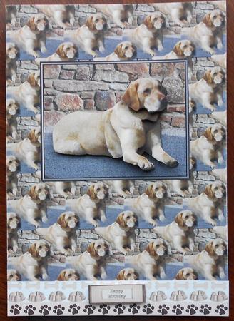 Golden Labrador Scene 3D Decoupage & Background by Eunice Roberts