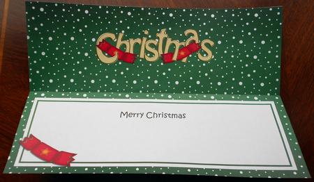 Xmas Merry Christmas Matching Large Dl Insert by Eunice Roberts
