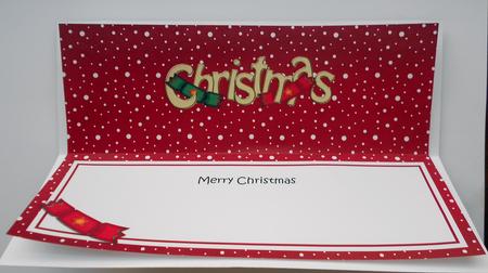 Xmas Merry Christmas Matching Large Dl Insert by Eunice Roberts