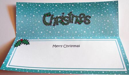 Xmas Merry Christmas Matching Large Dl Insert by Eunice Roberts