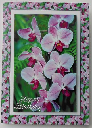 Pale Pink Orchids Birthday Spinner by Eunice Roberts