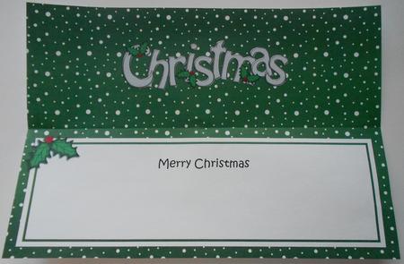 Xmas Merry Christmas Matching Large Dl Insert by Eunice Roberts