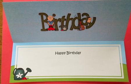 Happy Birthday Matching Large Dl Insert by Eunice Roberts