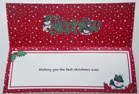 Xmas Nephew Matching Large Dl Insert by Eunice Roberts