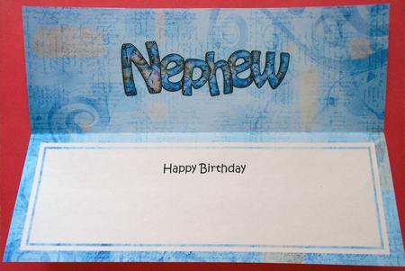 Birthday Nephew Matching Large Dl Insert by Eunice Roberts