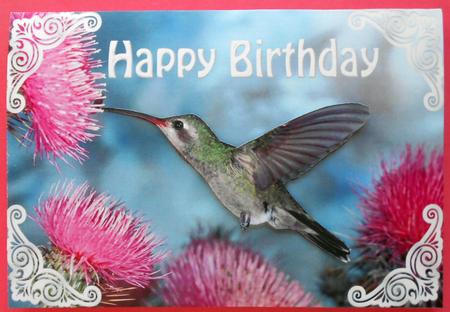 Humming Bird with Pink Flowers for Birthday A4 by Eunice Roberts
