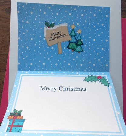 Xmas Matching A5 Insert by Eunice Roberts