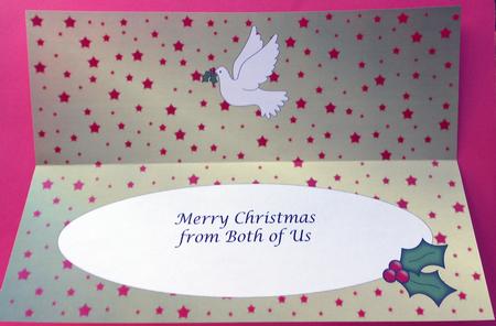 Christmas Dove Large Dl Insert (gold) by Eunice Roberts