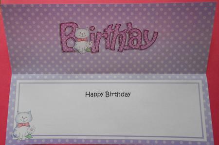 Birthday Cat Large Dl Matching Insert by Eunice Roberts
