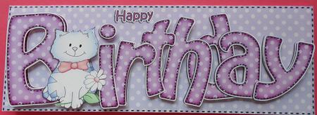 Large Dl Birthday Cat Card & 3D Decoupage by Eunice Roberts