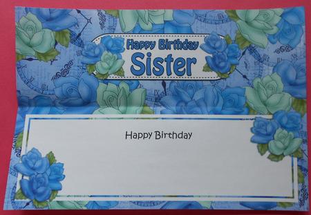 Happy Birthday Sister Matching Large Dl Insert by Eunice Roberts