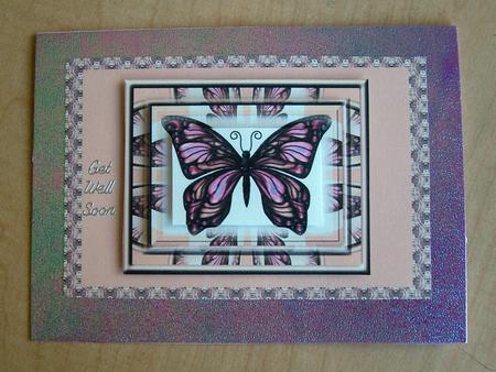 Pink Butterfly Get Well Soon by Eunice Roberts