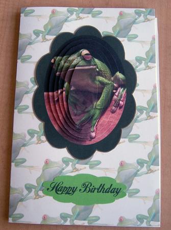 I Love Frogs by Eunice Roberts