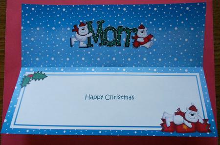 Xmas Mom Polar Bears Matching Large Dl Insert by Eunice Roberts