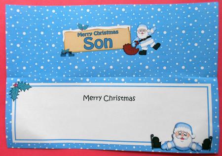 Xmas Son Santa Signpost Large Dl Matching Insert by Eunice Roberts