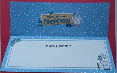 Xmas Nephew Polar Bear Signpost Large Dl Matching Insert by Eunice Roberts