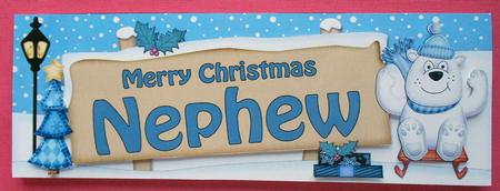 Xmas Nephew Polar Bear Signpost Large Dl Easicut Decoupage by Eunice Roberts