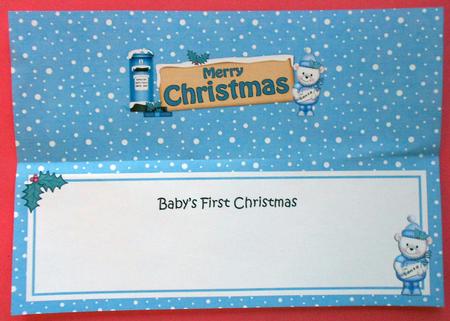 Christmas Teddy Ed Signpost Large Dl Matching Insert by Eunice Roberts