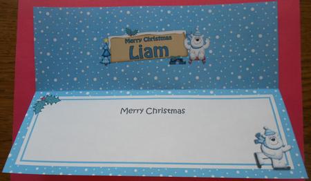 Xmas Liam Polar Bear Signpost Large Dl Matching Insert by Eunice Roberts