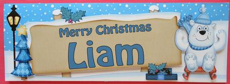 Xmas Liam Polar Bear Signpost Large Dl Easicut Decoupage by Eunice Roberts
