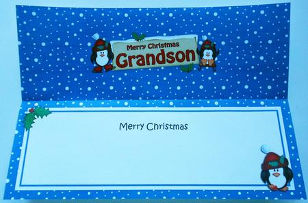 Xmas Grandson Penguins Signpost Large Dl Insert by Eunice Roberts