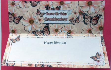 Birthday Granddaughter Floral Butterflies Large Dl Insert by Eunice Roberts