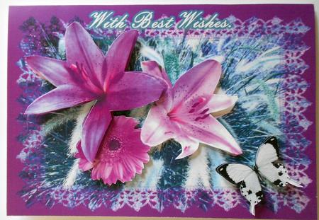 With Best Wishes Lily by Eunice Roberts