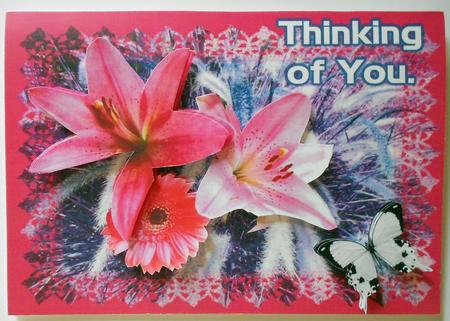 Thinkng of You Lily by Eunice Roberts
