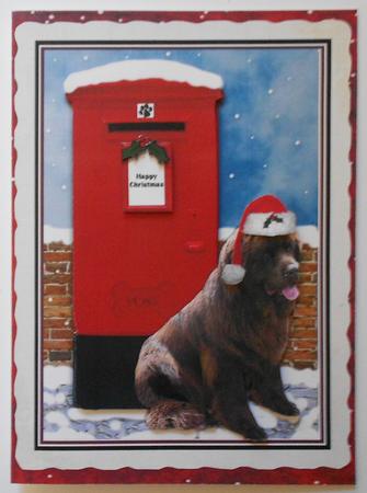 Newfoundland ,brown,christmas Post Box Scene by Eunice Roberts