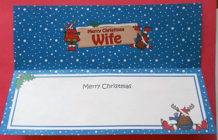 Xmas Wife Rudolph Signpost Large Dl Matching Insert by Eunice Roberts