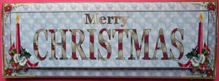 Merry Christmas Dl Card Front by Eunice Roberts