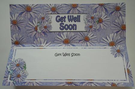 Get Well Soon Daisies Floral Large Dl Matching Insert by Eunice Roberts